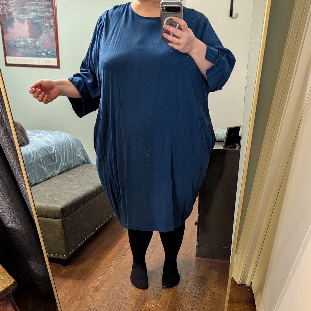 Universal Standard Blue Dress